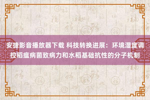 安捷影音播放器下载 科技转换进展：环境湿度调控稻瘟病菌致病力和水稻基础抗性的分子