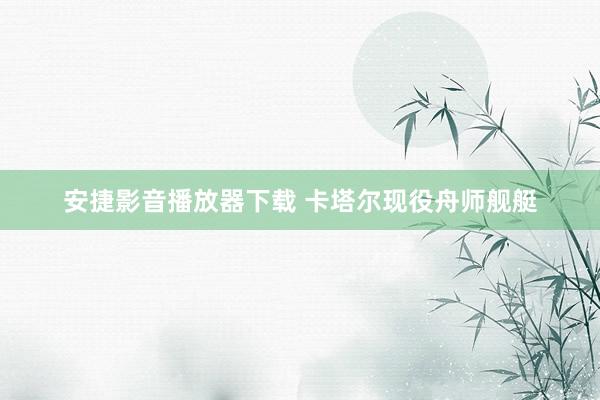 安捷影音播放器下载 卡塔尔现役舟师舰艇