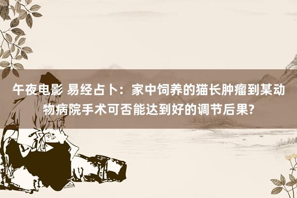 午夜电影 易经占卜：家中饲养的猫长肿瘤到某动物病院手术可否能达到好的调节后果?