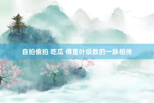 自拍偷拍 吃瓜 傅里叶级数的一脉相传